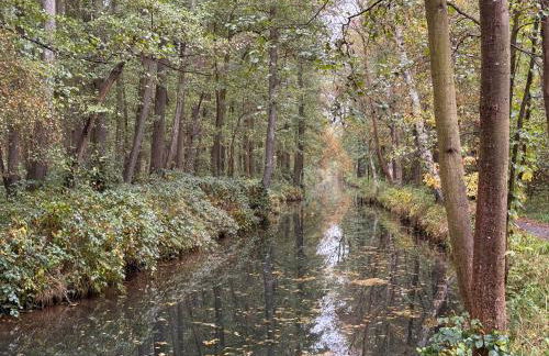 Ferienwohnung an der Postsäule Lübbenau - Foto 23