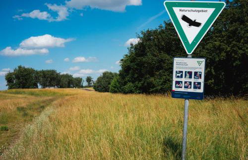 Anrena Forest - Foto 22