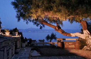 Dinas Inn - Photo 53