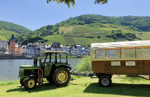 Ferienwohnung Bad Bertrich - Photo 29