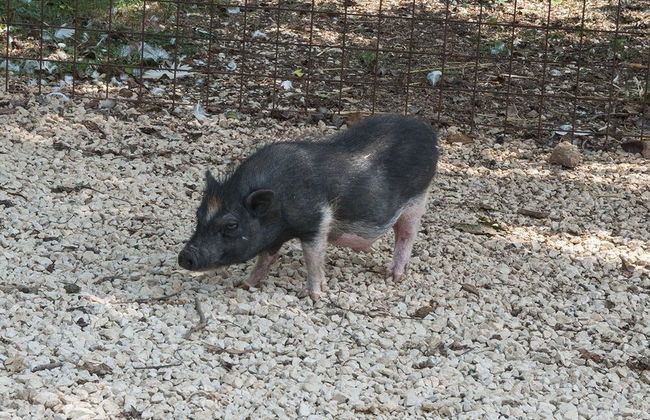 Agriturismo Kelle Terre - Foto 27