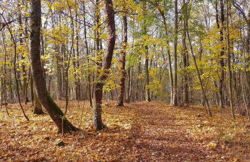 Gemütliche Ferienwohnung am Ortsrand - Foto 22