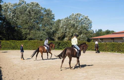 Heidegut Eschede Reitsportanlage und Feriendorf - Foto 8