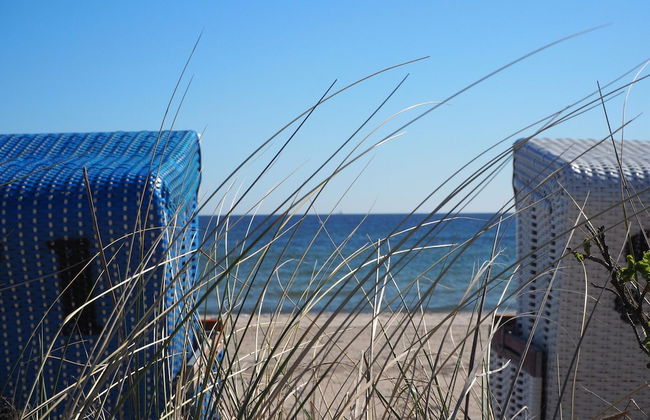 Reihenhaus im Ostseeresort Dampland - Photo 32