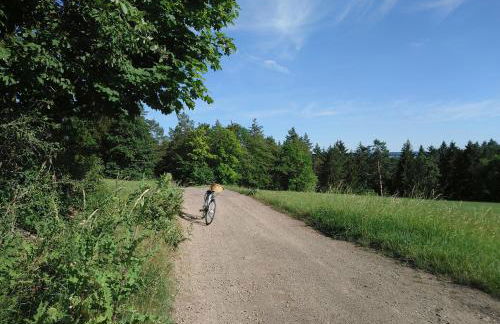 "Haus Ulla" - Foto 28