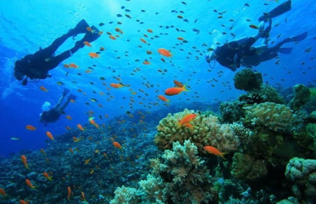 Golden Lake - Foto 27