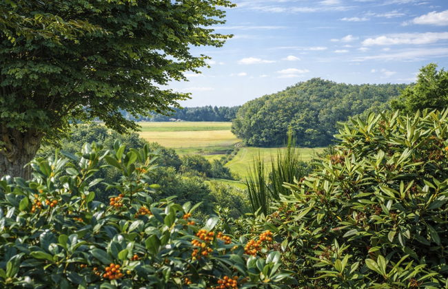 Bungalowpark Landsrade - Foto 23