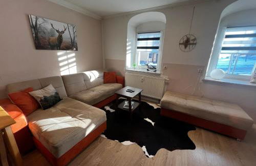 Ferienwohnungen Carlsfeld - Foto 41