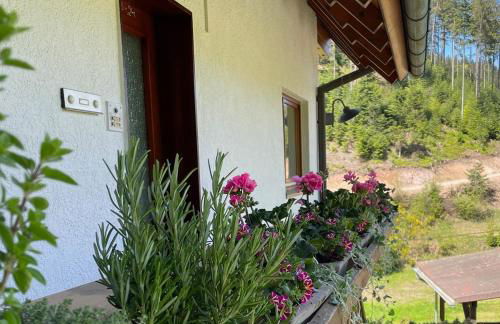 Wolfshound Cottage - Foto 62