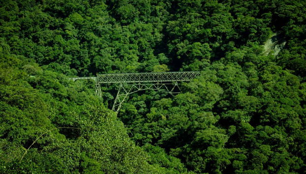 Morretes & Antonina Day Trip by Train - Photo 4