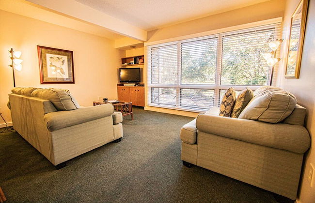 Waterwood Resort and Sand Castle Village by VRHost - Foto 16