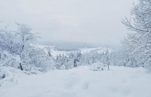 Dolce Vita Gerolstein -Dani - Foto 50