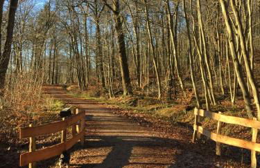 Waldmühle - Foto 41