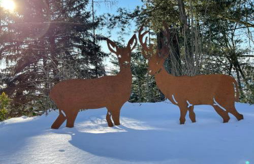 FarmHouse Eckartsberg im Zittauer Gebirge - Gemütliche und moderne Ferienwohnungen mit Terrasse - Foto 50