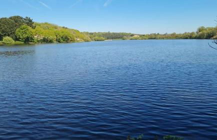 Domaine d'Annégré - Foto 24