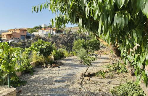 Balcones de Erques - Foto 57