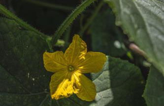 La Casa de Consuelo 3 - Foto 29