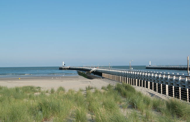 2 bedroom House in Koksijde with swimming pool and garden - Photo 16