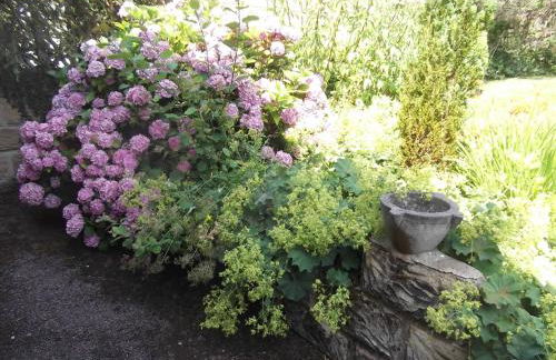 Hall Dale View near Matlock & Peak District - Photo 15
