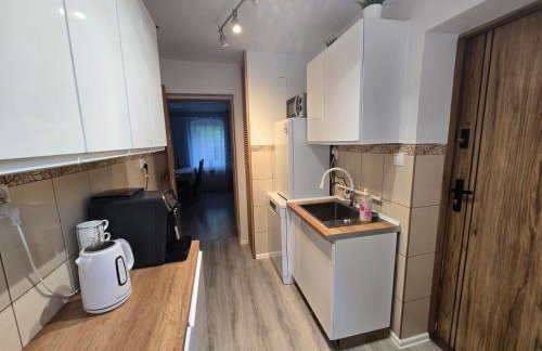 Mieszkanie 44 w Karkonoszach - Foto 3