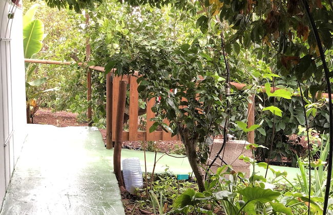 Los Viejitos en Firgas - Foto 67