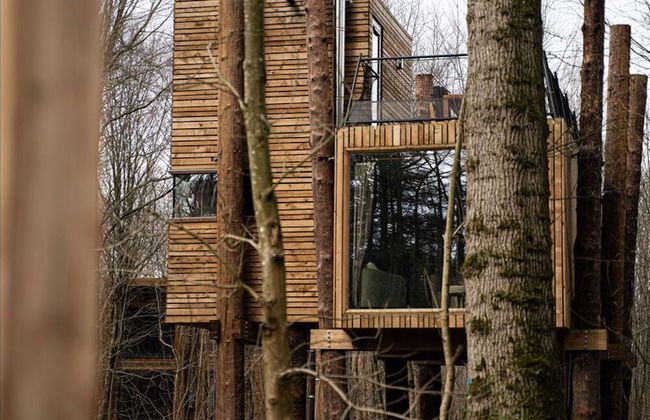 Adventure in Nature Tree Loft for 4 People 2 - Foto 12