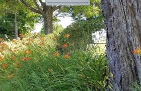 Hoppy Hill Farm House - Foto 43