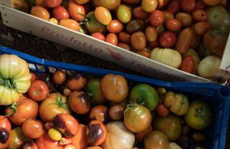 Boutique Hotel Poggio ai Santi - Adults Only - Foto 67