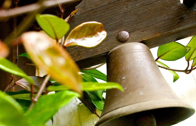 Casa dos Arrábidos - Foto 71