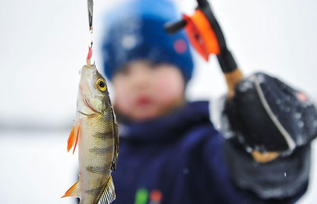 Nordic Lapland Resort - Foto 21