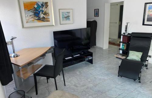 Excl Ferienwohnung im Dreiländereck D-F-CH mit beheiztem kl Pool zum Schwimmen und Massieren - Foto 6