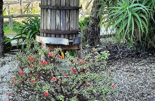 Os Areeiros Turismo Rural & Bodega - Foto 112