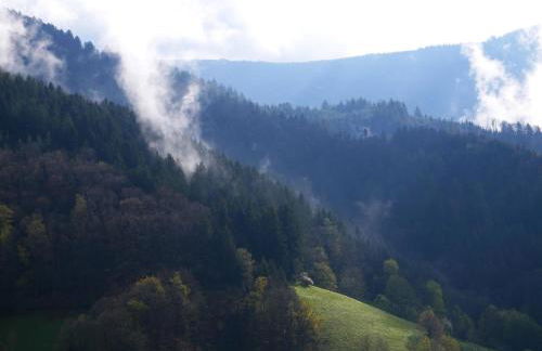 Bühlbauernhof - Foto 14