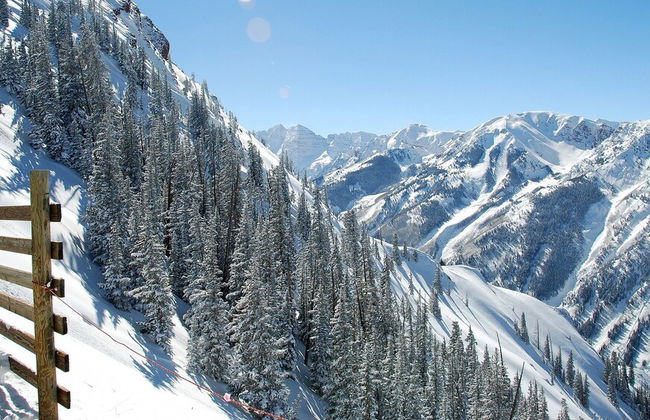 The Aspen Mountain Residences - Foto 63