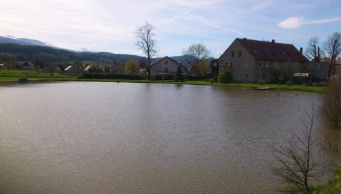 VIP Apartament Sosnówka - Foto 4