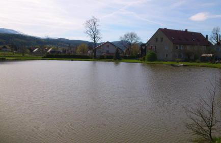 VIP Apartament Sosnówka - Foto 4