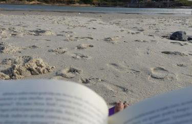 Apartamento encantador em Saquarema - Photo 18