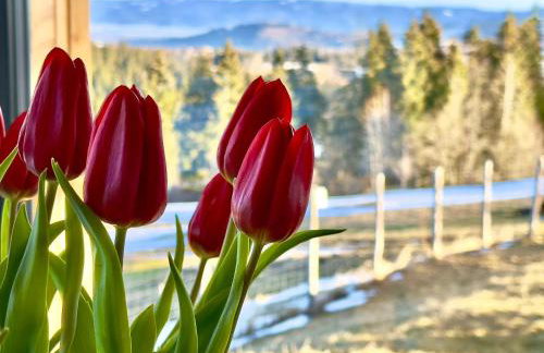 Domek Tatry - Stacja Wierchowa 972 m - Foto 29