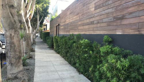 Venice Beach Rooftop House with Parking steps to beach - 30 days or longer rental - Foto 3