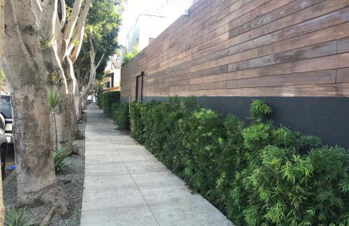 Venice Beach Rooftop House with Parking steps to beach - 30 days or longer rental - Foto 3