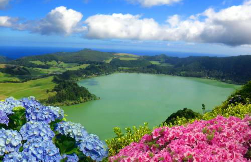 Lia's House - Photo 17