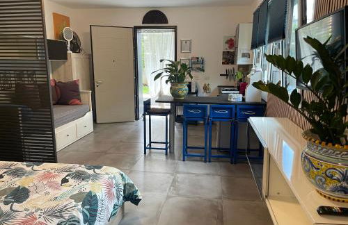 Papero rosso - Foto 12