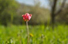 Ferienapartment Wilma - Foto 55