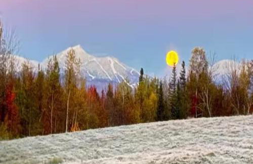 Private 2 Bedroom Lofted Garage Getaway - Foto 39