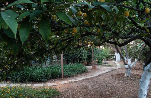 glarosmaisonette - Foto 33