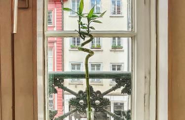 Charmante, ruhige Wohnung im Herzen der Altstadt von Heidelberg - Foto 11