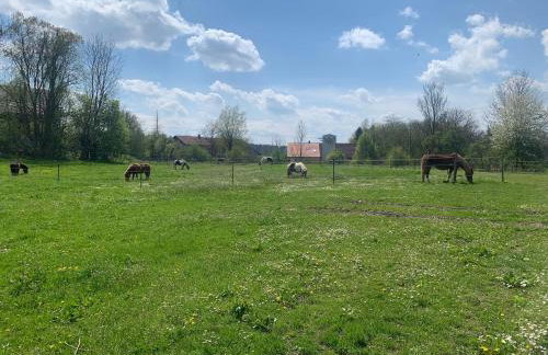 Ferienhaus Spielburg - Foto 80