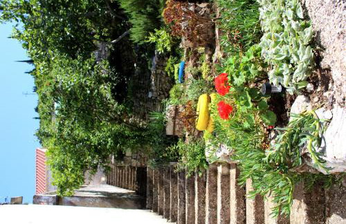 House Zrno - Foto 17