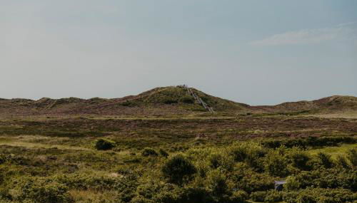 Suite Kampen ehemals Walter's Hof - Sylt - Foto 5, Garden view
