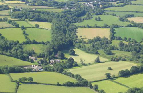David's Organic Farm Wales - Foto 23